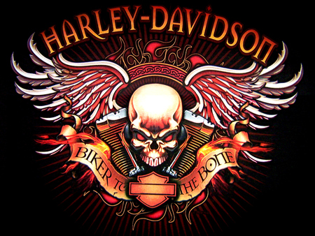 THE MOTORCYCLE Best Harley  Davidson  Logo  Free  Download 