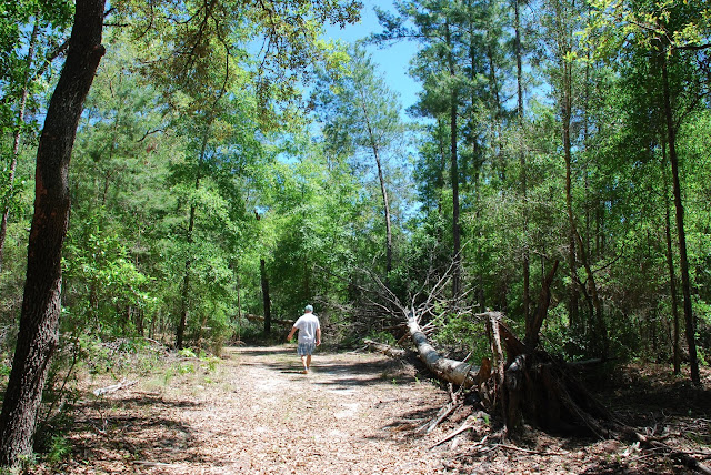 Dunns Creek State Park