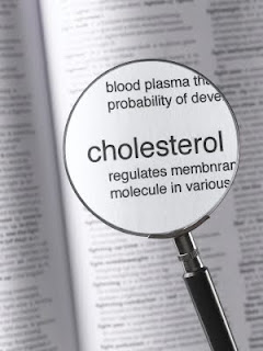 Rein cholesterol