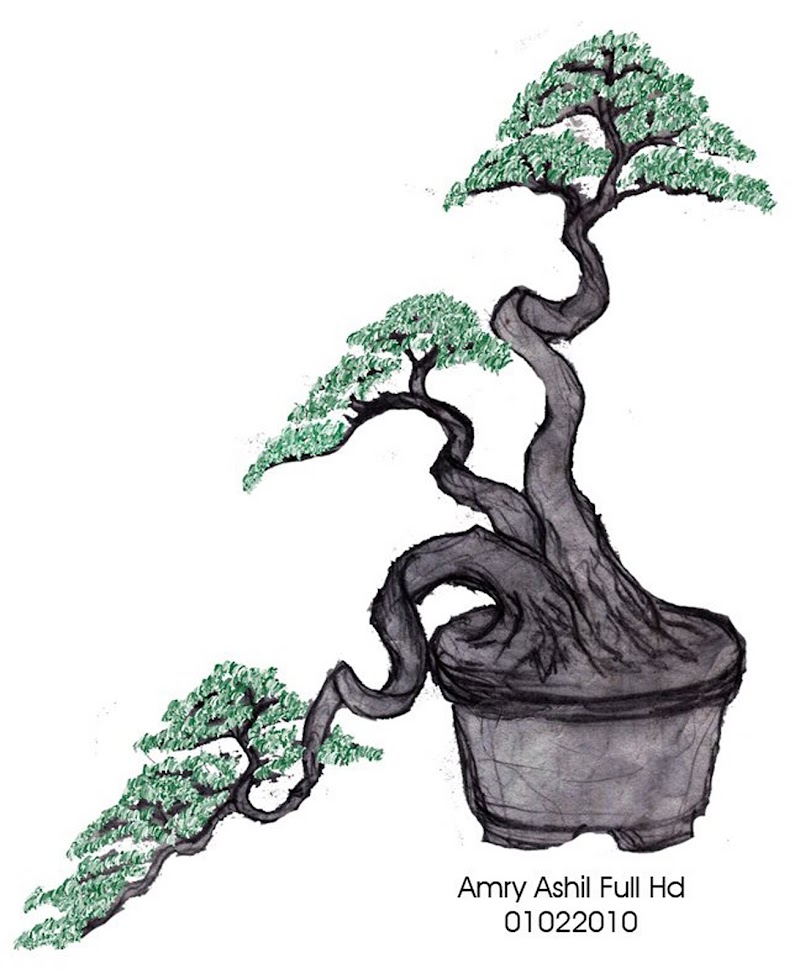 28+ Sketsa Pohon Bonsai