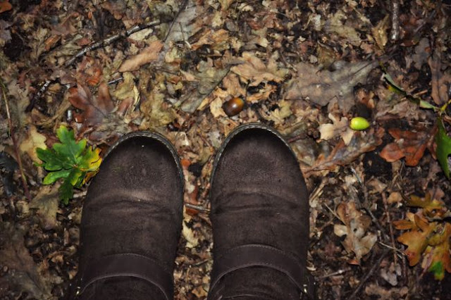 Autumnal boots and leaves @ ups and downs smiles and frowns