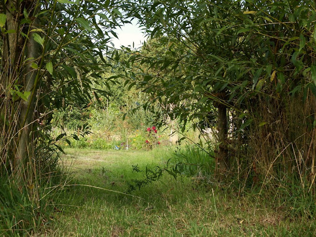 friedensgarten,osnabrück,garten,naturgarten,meinosnabrück,osnabrueck