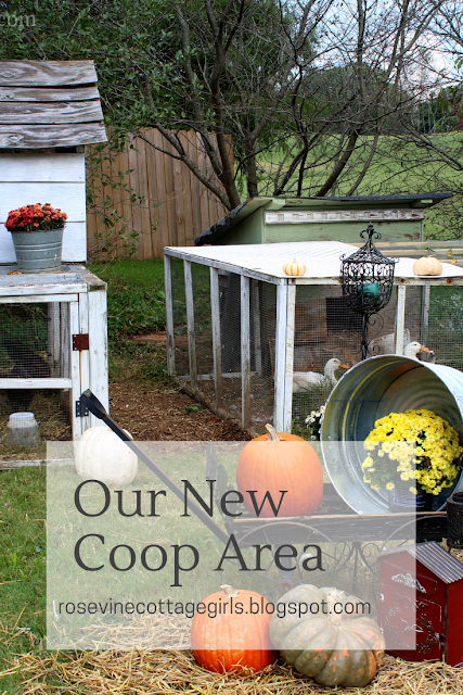 Backyard Chickens, Backyard Ducks, Hobby Farm, Coops, Fall Decor