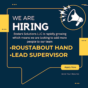  Bodark Solutions LLC is rapidly growing which means we are looking to add more people to our team