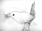 El arte en los pájaros