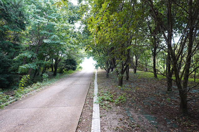 鳥取県西伯郡大山町妻木　鳥取県立むきばんだ史跡公園　休息所の前の弥生の森