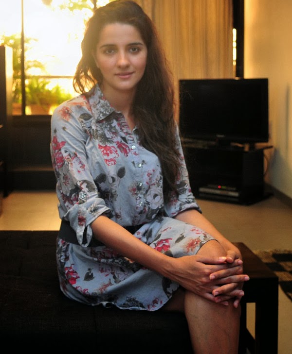 Actress Shruti Seth Husband Bollywood Director Danish Aslam Photos