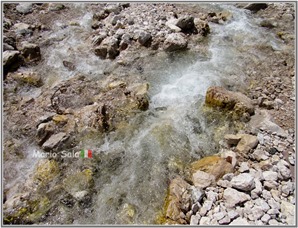 SG2016_TORRENTE_08