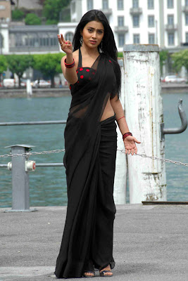 Shreya Saran Hot Navel Show in Black Saree Stills