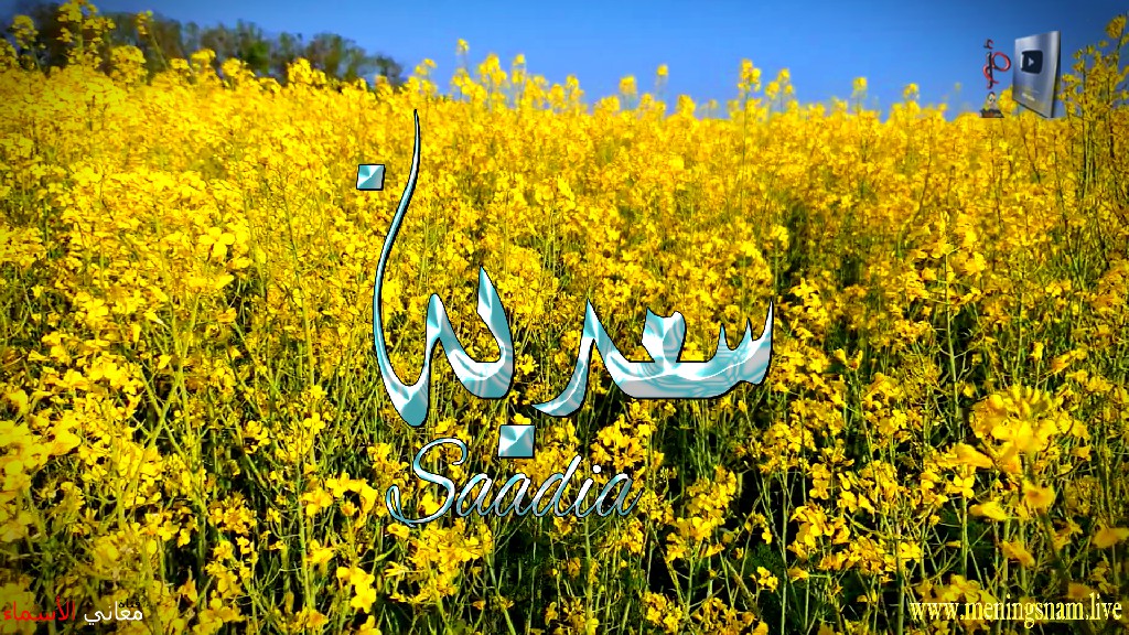 معنى اسم, سعدية, وصفات, حاملة, هذا الاسم, Saadia,