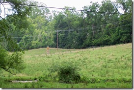 John Champe Monument as viewed from Champe Ford Road