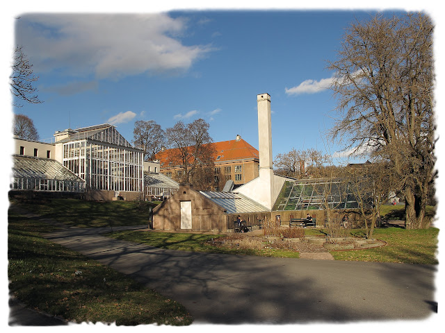 Vårstemning i Botanisk hage på Tøyen i Bydel Gamle Oslo.