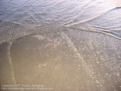 Starfish Swim