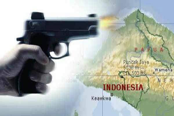 Baku Tembak di Kabupaten Puncak Papua, 2 Anggota KKB Tewas