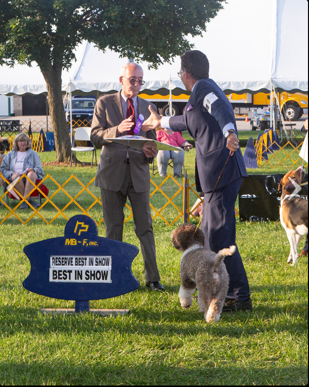 Ann Arbor Kennel Club Dog Show