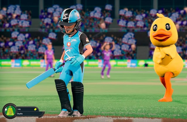 Big Bash Cricket Mod Apk with Features