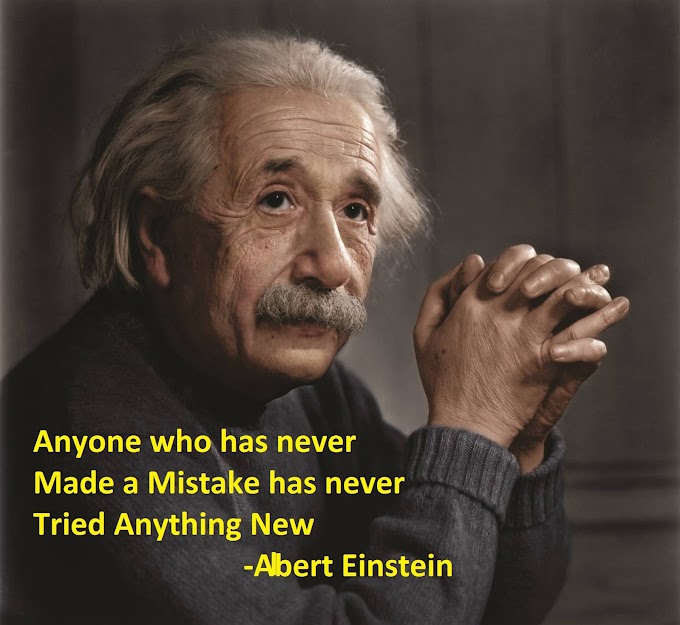 Anyone Who has Never - by Albert Einstein