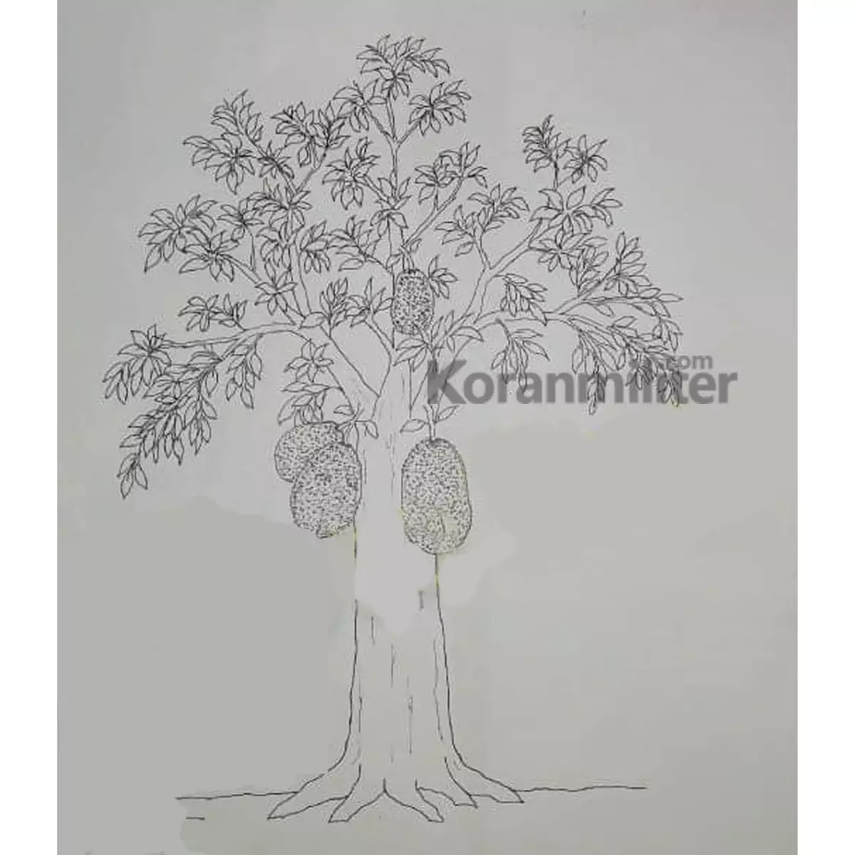 Arti Psikotes Gambar Rumah Pohon Orang Psikotes gambar pohon