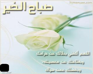 صور صباح الخير 2013 - Photos Good Morning 2013