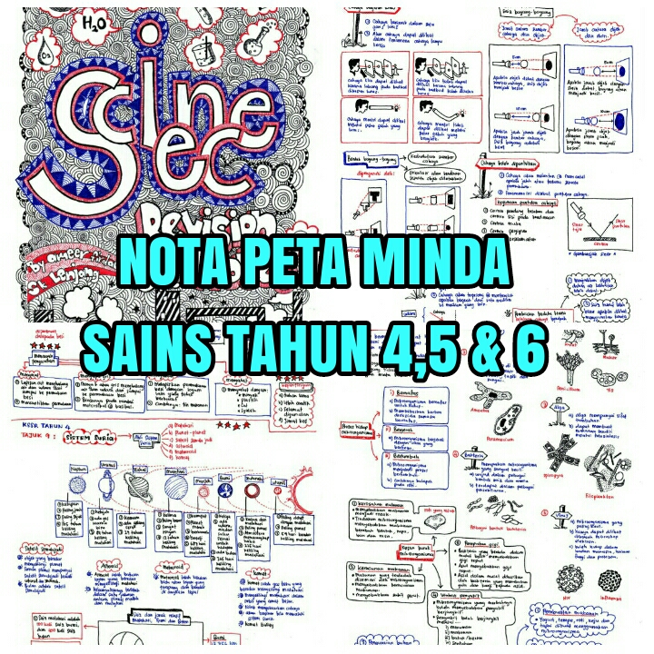 Nota Sains Tahun 4, 5 & 6 (Peta Minda) - Panduan Cikgu