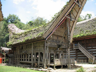 visiter sulawesi