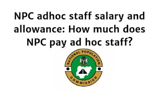 NPC adhoc staff salary and allowance: How much does NPC pay adhoc statt?