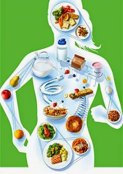 Food Calories Chart