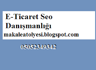 E-Ticaret Seo Danışmanlığı