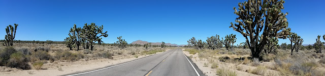 mojave-national-reserve.jpg