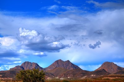 New Mexico Vista, State Of New Mexico