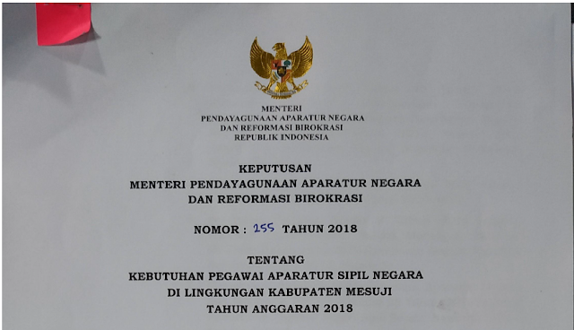 Penerimaan CPNS 2018: PEMKAB Mesuji Buka Penerimaan CPNS