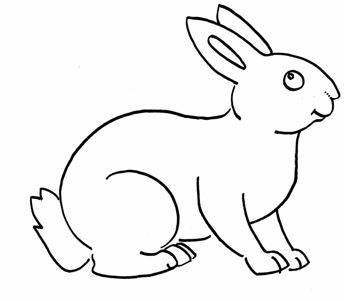 10 Sketsa Gambar  Kelinci  Hitam Putih Untuk Anak TK dan 