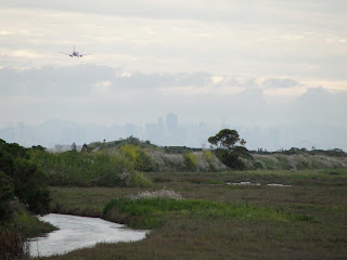 Heron Bay, San Leandro @ checkinginwiththecharlestons.blogspot.com