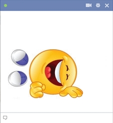 ROFL smiley - facebook chat emoticon code