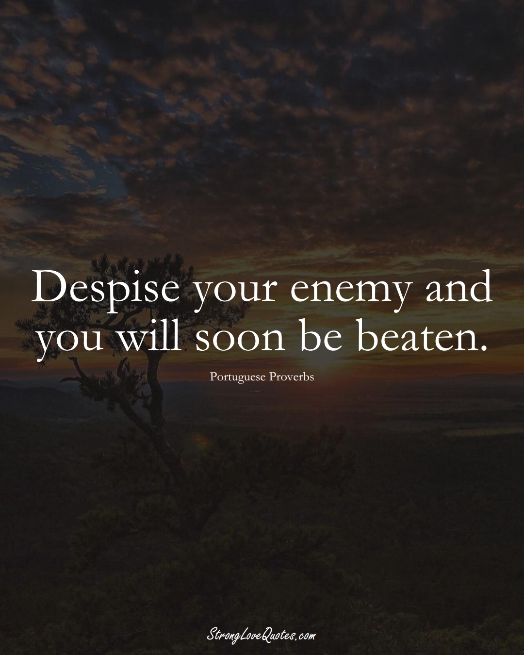 Despise your enemy and you will soon be beaten. (Portuguese Sayings);  #EuropeanSayings