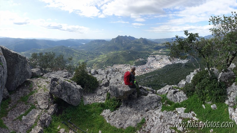 El Cintillo - Sierra Baja de Ubrique - Paso del Bombo - Ubrique - Cañada de los Pernales