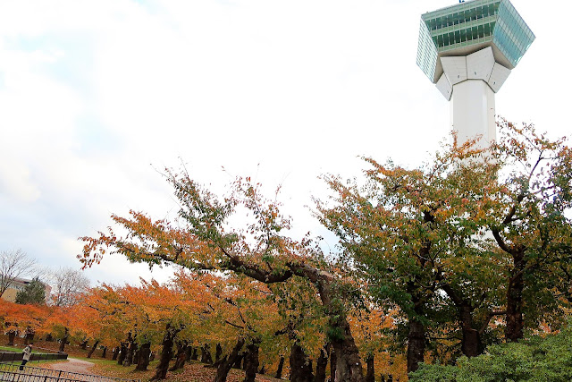 北海道 函館ツアー 五稜郭タワー