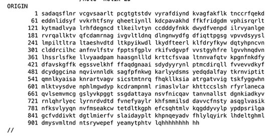 Virus Chain A protein RNA sequence (Source: ncbi.nim.nih.gov)