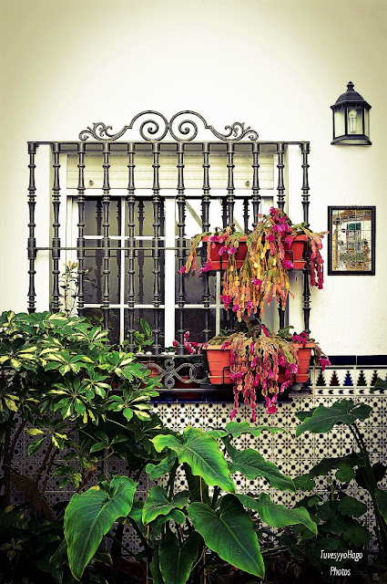 Patio andaluz | Blanca Arias