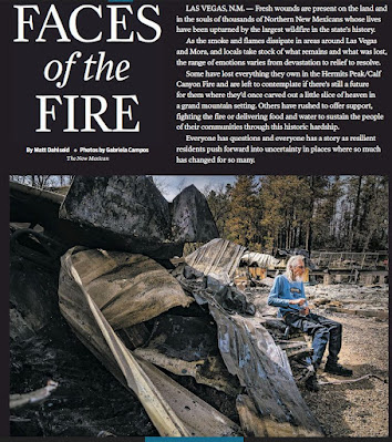 screen shot of article with photo of man among remains of home destroyed by wildfire