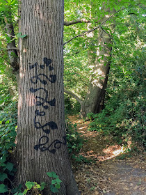 Graffitied tree.  Walk round the Hawkwood Estate 33, 30 August 2016