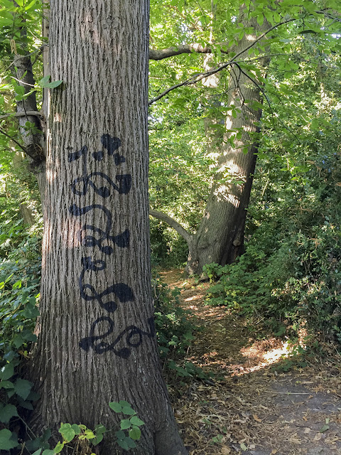 Graffitied tree.  Walk round the Hawkwood Estate 33, 30 August 2016