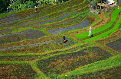 Tempat Wisata di Indonesia 