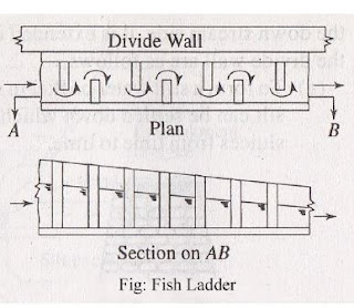 fish ladder,