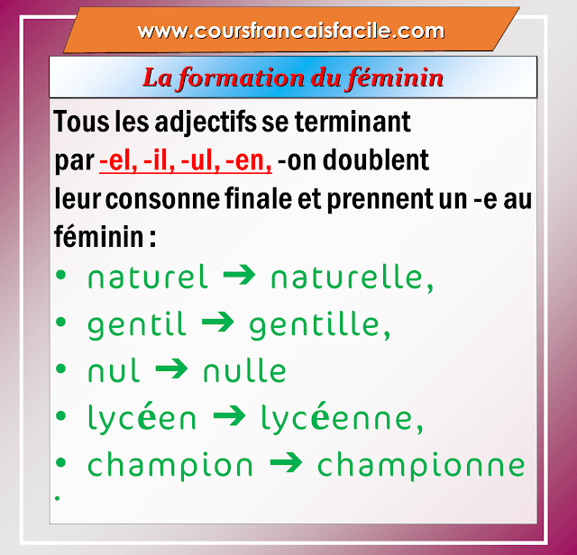 La formation du féminin des noms et des adjectifs qualificatifs 