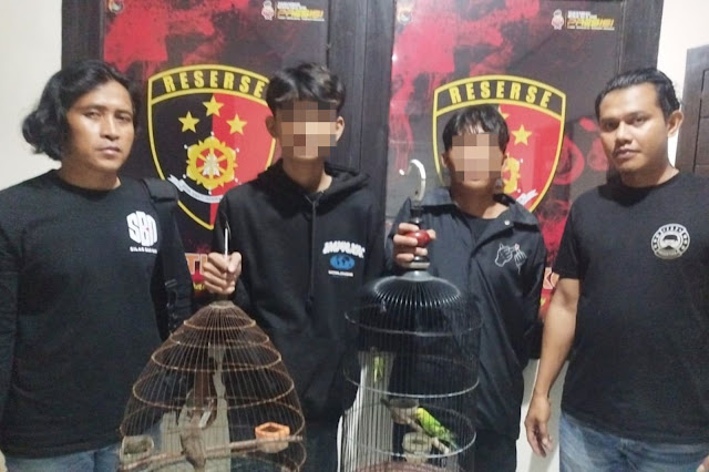 Pencuri burung di Sandubaya terancam 7 tahun bui