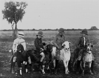 Unusual Animal Riding -  Fancy Mounts of Life 