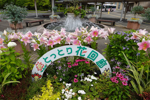 鳥取県西伯郡南部町鶴田 とっとり花回廊