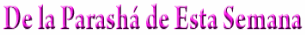 clip_image001