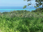 . a quick clip. We stopped at an iguana farm, explored deserted beaches, .